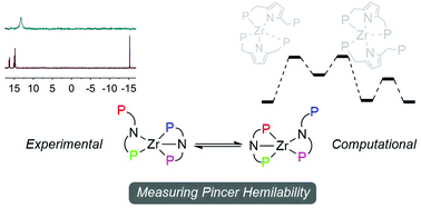 Graphical abstract: Asymmetric bis-PNP pincer complexes of zirconium and hafnium – a measure of hemilability