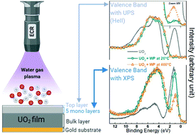 Graphical abstract: X-Ray and ultraviolet photoelectron spectroscopy studies of Uranium(iv),(v) and(vi) exposed to H2O-plasma under UHV conditions