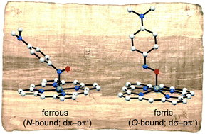 Graphical abstract: Insight into the preferential N-binding versus O-binding of nitrosoarenes to ferrous and ferric heme centers