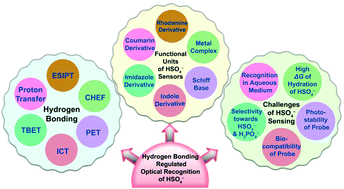 Graphical abstract: Hydrogen bond regulated hydrogen sulfate ion recognition: an overview