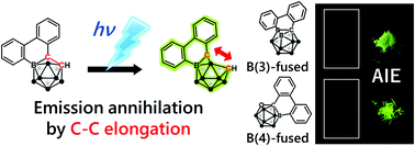 Graphical abstract: Experimental proof for emission annihilation through bond elongation at the carbon–carbon bond in o-carborane with fused biphenyl-substituted compounds