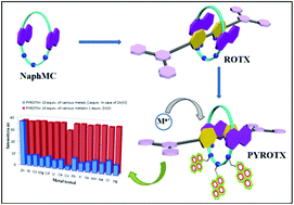 Graphical abstract: A Cd(ii) and Zn(ii) selective naphthyl based [2]rotaxane acts as an exclusive Zn(ii) sensor upon further functionalization with pyrene