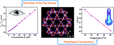 Graphical abstract: The ratiometric detection of the biomarker Ap5A for dry eye disease and physiological temperature using a rare trinuclear lanthanide metal–organic framework