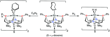 Graphical abstract: Forays into rhodium macrocyclic chemistry stabilized by a P2N2 donor set. Activation of dihydrogen and benzene