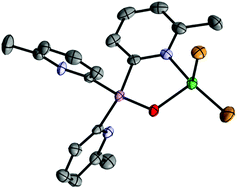 Graphical abstract: Coordination chemistry of the bench-stable tris-2-pyridyl pnictogen ligands [E(6-Me-2-py)3] (E = As, As [[double bond, length as m-dash]] O, Sb)