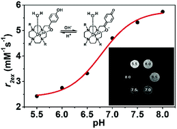 Graphical abstract: A T2ex MRI Dy-based contrast agent for direct pH imaging using a ratiometric approach