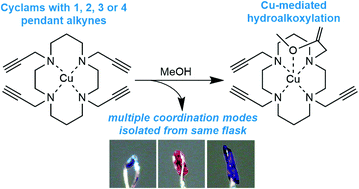 Graphical abstract: Copper(ii) complexes of N-propargyl cyclam ligands reveal a range of coordination modes and colours, and unexpected reactivity