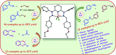 Graphical abstract: Designed pincer ligand supported Co(ii)-based catalysts for dehydrogenative activation of alcohols: Studies on N-alkylation of amines, α-alkylation of ketones and synthesis of quinolines