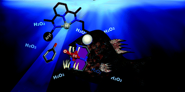 Graphical abstract: Neighbouring effects on catalytic epoxidation by Fe-cyclam in M2-PDIxCy complexes