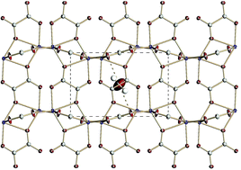 Graphical abstract: Versatile oxalato-bridging modes: a novel three-dimensional framework structure of manganese(ii) oxalate complex [MnC2O4]·0.5H2O and the relationship with other manganese(ii) oxalates