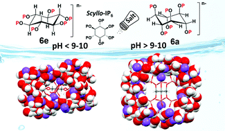 Graphical abstract: Snapshots of “crystalline” salt-water solutions of inositol hexaphosphate conformers