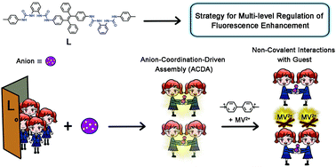 Graphical abstract: Stepwise enhancement of fluorescence induced by anion coordination and non-covalent interactions