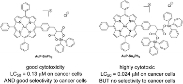 Graphical abstract: Synergetic anticancer activity of gold porphyrin appended to phenyl tin malonate organometallic complexes