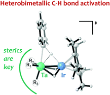 Graphical abstract: Mechanistic investigations via DFT support the cooperative heterobimetallic C–H and O–H bond activation across Ta [[double bond, length as m-dash]] Ir multiple bonds