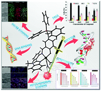 Graphical abstract: Influence of anchoring moieties on new benzimidazole-based Schiff base copper(ii) complexes towards estrogen dependent breast cancer cells