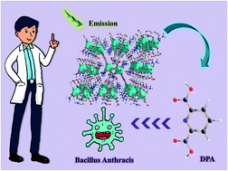 Graphical abstract: A weakly luminescent Tb-MOF-based “turn-on” sensor for the highly selective and sensitive sensing of an anthrax biomarker