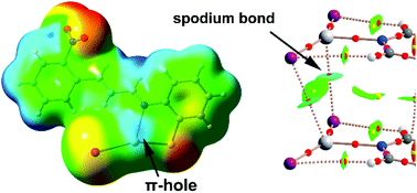 Graphical abstract: On the importance of π-hole spodium bonding in tricoordinated HgII complexes