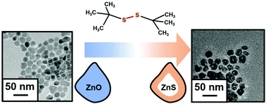 Graphical abstract: Nanoparticle transformation from ZnO to ZnS through anion exchange with di-tert-butyl disulphide