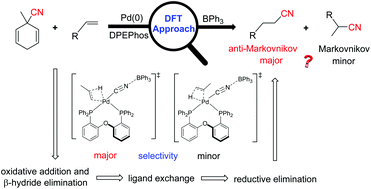 Graphical abstract: Mechanistic study of the cooperative palladium/Lewis acid-catalyzed transfer hydrocyanation reaction: the origin of the regioselectivity