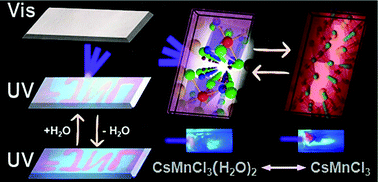 Graphical abstract: The moisture-responsive structural transformation of manganochlorine for water-soluble luminescent switching ink