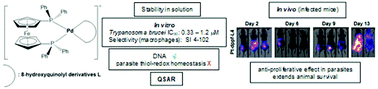 Graphical abstract: New Pd–Fe ferrocenyl antiparasitic compounds with bioactive 8-hydroxyquinoline ligands: a comparative study with their Pt–Fe analogues