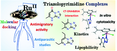 Graphical abstract: New organometallic ruthenium(ii) complexes with purine analogs – a wide perspective on their biological application