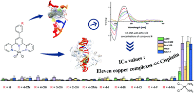 Graphical abstract: Copper chloride complexes with substituted 4′-phenyl-terpyridine ligands: synthesis, characterization, antiproliferative activities and DNA interactions