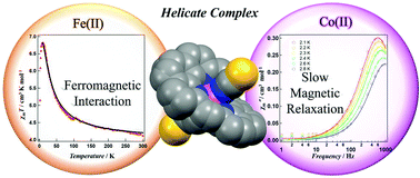 Graphical abstract: Magnetism in a helicate complexes arising with the tetradentate ligand