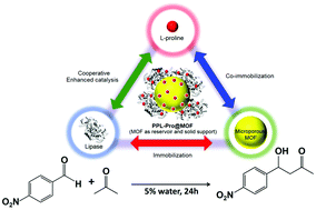 Graphical abstract: Fast multipoint immobilization of lipase through chiral l-proline on a MOF as a chiral bioreactor