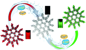 Graphical abstract: The construction of a novel luminescent lanthanide framework for the selective sensing of Cu2+ and 4-nitrophenol in water