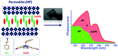 Graphical abstract: Expanding the photoresponse of multidimensional hybrid lead bromide perovskites into the visible region by incorporation of subphthalocyanine