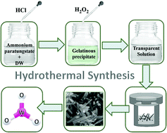 Graphical abstract: Tungsten oxides: green and sustainable heterogeneous nanocatalysts for the synthesis of bioactive heterocyclic compounds