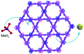 Graphical abstract: A copper(ii)-based porous metal–organic framework for the efficient and rapid capture of toxic oxo-anion pollutants from water