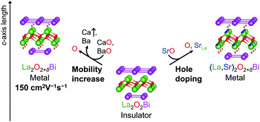 Graphical abstract: Increased hole mobility in anti-ThCr2Si2-type La2O2Bi co-sintered with alkaline earth metal oxides for oxygen intercalation and hole carrier doping