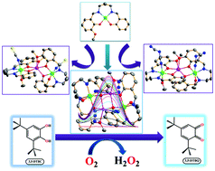 Graphical abstract: Synthesis of Ni(ii)–Mn(ii) complexes using a new mononuclear Ni(ii) complex of an unsymmetrical N2O3 donor ligand: structures, magnetic properties and catalytic oxidase activity