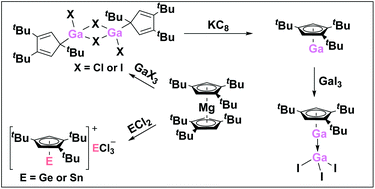 Graphical abstract: Pentamethyl- and 1,2,4-tri(tert-butyl)cyclopentadienyl containing p-block complexes – differences and similarities