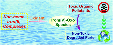 Graphical abstract: Oxidative degradation of toxic organic pollutants by water soluble nonheme iron(iv)-oxo complexes of polydentate nitrogen donor ligands