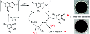 Graphical abstract: Effect of aromatic ring substituents on the ability of catechol to produce brown carbon in iron(iii)-catalyzed reactions