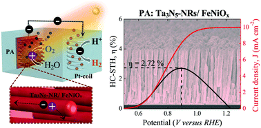 Graphical abstract: Ta3N5-Nanorods enabling highly efficient water oxidation via advantageous light harvesting and charge collection