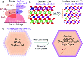 Graphical abstract: Gradient-morph LiCoO2 single crystals with stabilized energy density above 3400 W h L−1