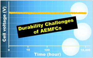 Graphical abstract: Durability challenges of anion exchange membrane fuel cells