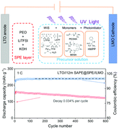 Graphical abstract: “Water-in-salt” polymer electrolyte for Li-ion batteries