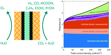 Graphical abstract: A systematic analysis of Cu-based membrane-electrode assemblies for CO2 reduction through multiphysics simulation