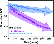 Graphical abstract: An in situ cross-linked 1D/3D perovskite heterostructure improves the stability of hybrid perovskite solar cells for over 3000 h operation