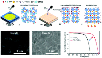 Graphical abstract: Templated growth of FASnI3 crystals for efficient tin perovskite solar cells