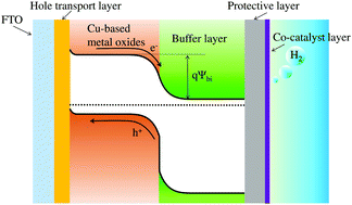 Graphical abstract: Earth-abundant Cu-based metal oxide photocathodes for photoelectrochemical water splitting