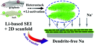 Graphical abstract: Lithium-activated SnS–graphene alternating nanolayers enable dendrite-free cycling of thin sodium metal anodes in carbonate electrolyte
