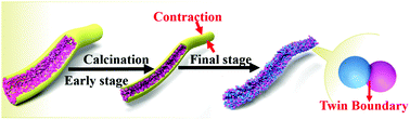 Graphical abstract: A unique space confined strategy to construct defective metal oxides within porous nanofibers for electrocatalysis
