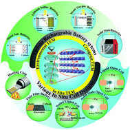 Graphical abstract: A mechanistic study of electrode materials for rechargeable batteries beyond lithium ions by in situ transmission electron microscopy