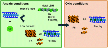 Graphical abstract: Interactions of ferrous iron with clay mineral surfaces during sorption and subsequent oxidation